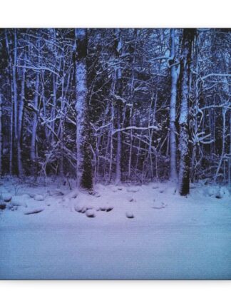 Winter Wonder 2