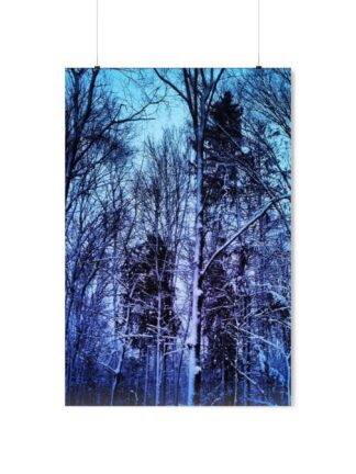 Winter Wonder